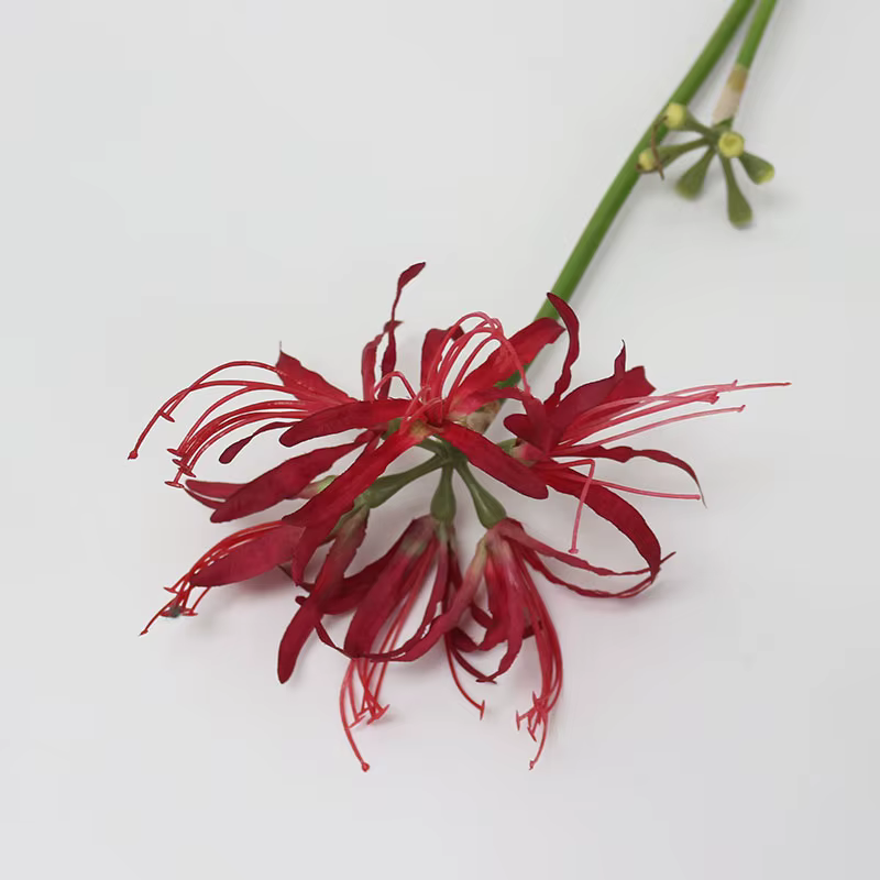 Fleur artificielle Lycoris radiata pour la décoration de table de salon, arrangement floral en soie,