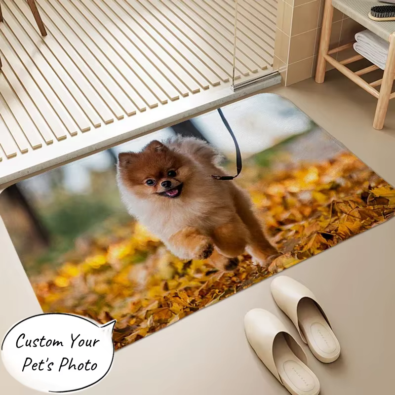 Tapis personnalisé pour animaux de compagnie, télécharger votre Photo, tapis de sol d'intérieur pers