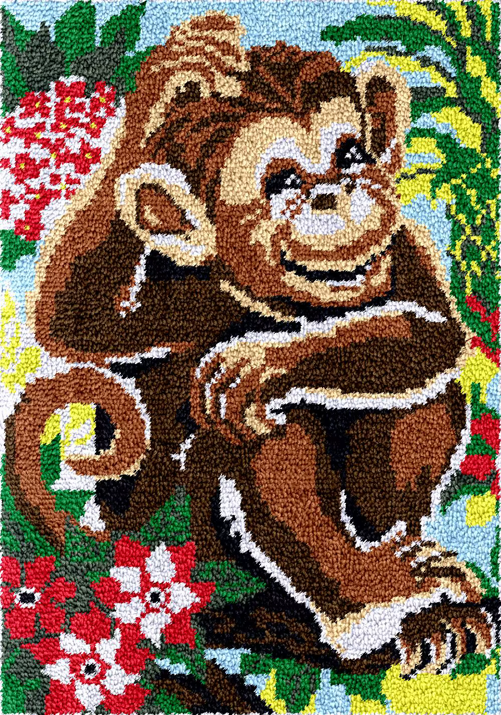 Ensemble de broderie de tapis de singe, kits de crochets de loquet, tapis artisanaux, toile en plast