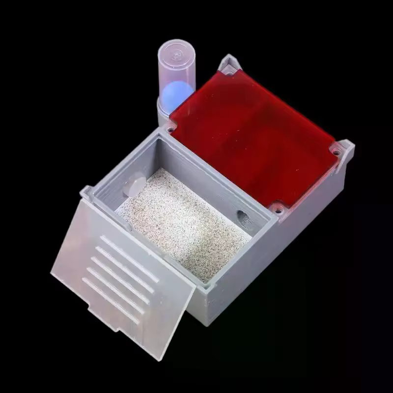 Ferme de fourmis à disposition quatuor avec chambres séparées pour les passionnés ; Un nid d'habitat