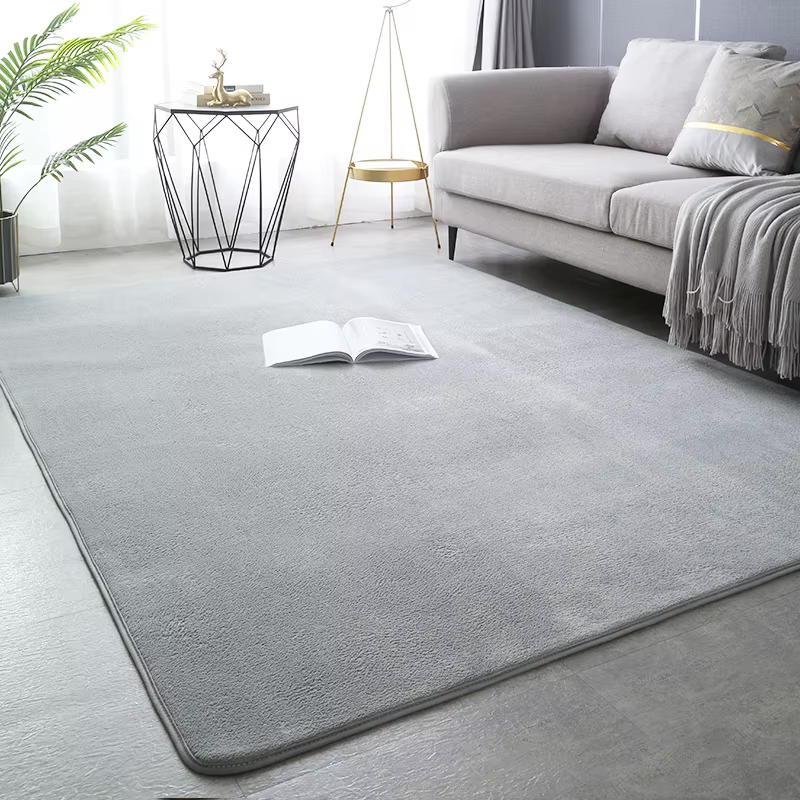 Tapis en velours de corail de couleur unie, moderne, pour salon, chambre à coucher, chevet, salon, T