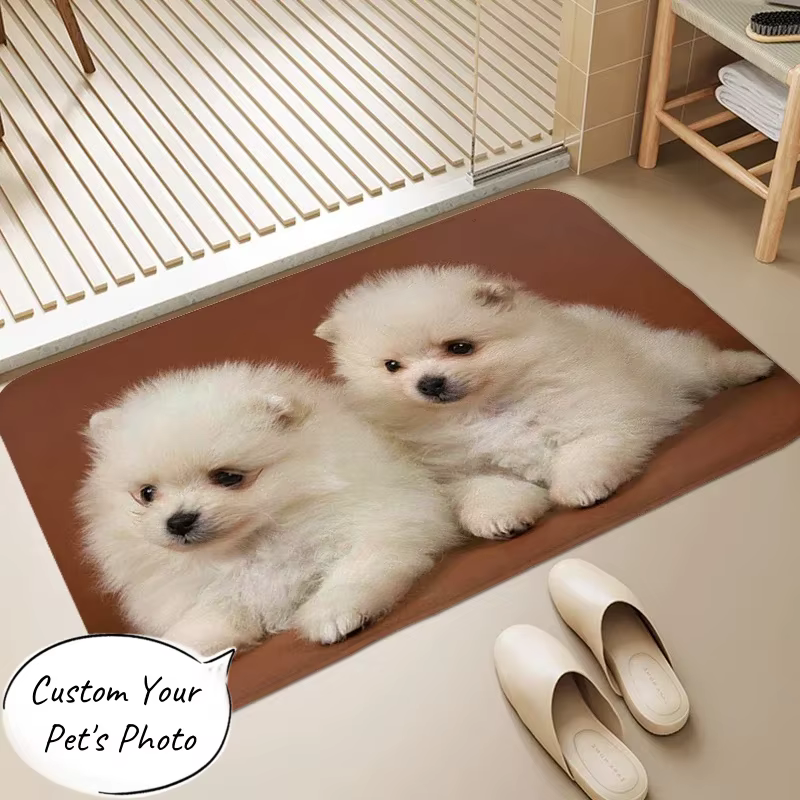 Tapis personnalisé pour animaux de compagnie, télécharger votre Photo, tapis de sol d'intérieur pers