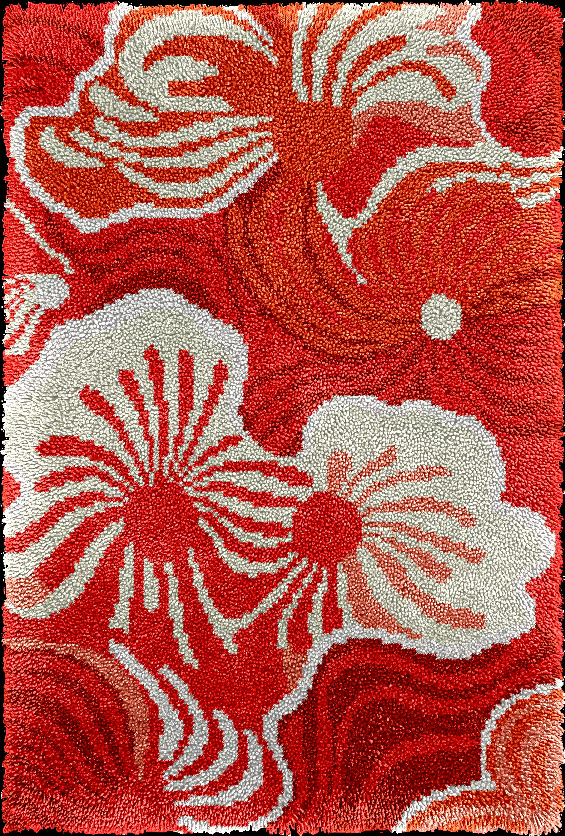 Kits de tapis à crochet de loquet, bricolage de tapis en fil de Crochet, Kit d'artisanat d'accrochag