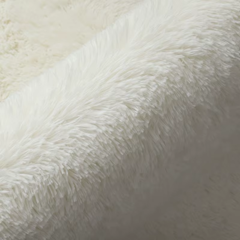 Tapis lavable à poils longs pour salon