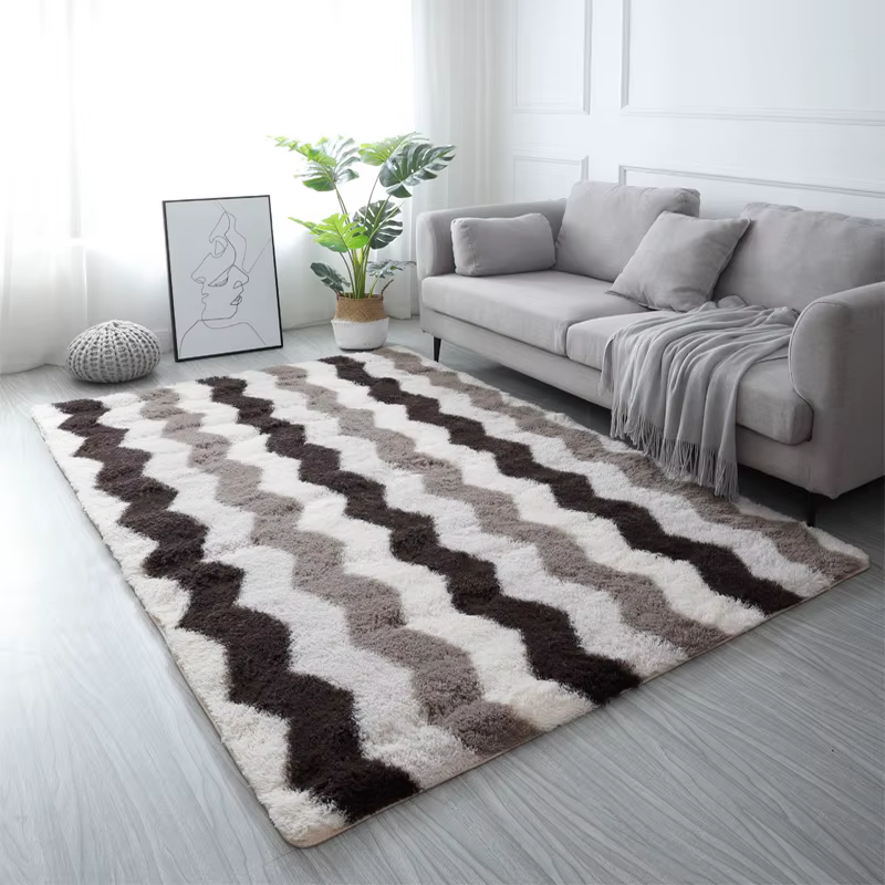 Grand tapis de salon moderne