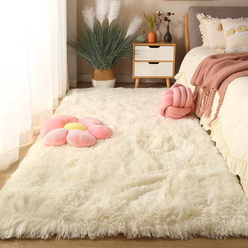 Tapis lavable à poils longs pour salon