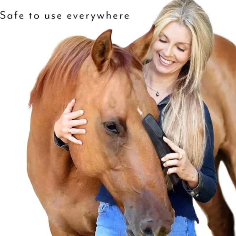Brosses de massage pour cheval, outils de toilettage pour le corps des animaux, livres de bain, sports équestres, soins des chevaux, fournitures de finition des cheveux