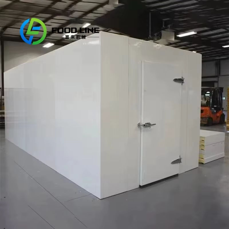 Salle de stockage au froid personnalisée/chambre à froid/passer dans le congélateur