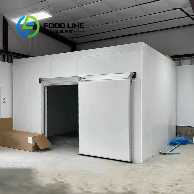 Salle de stockage au froid personnalisée/chambre à froid/passer dans le congélateur