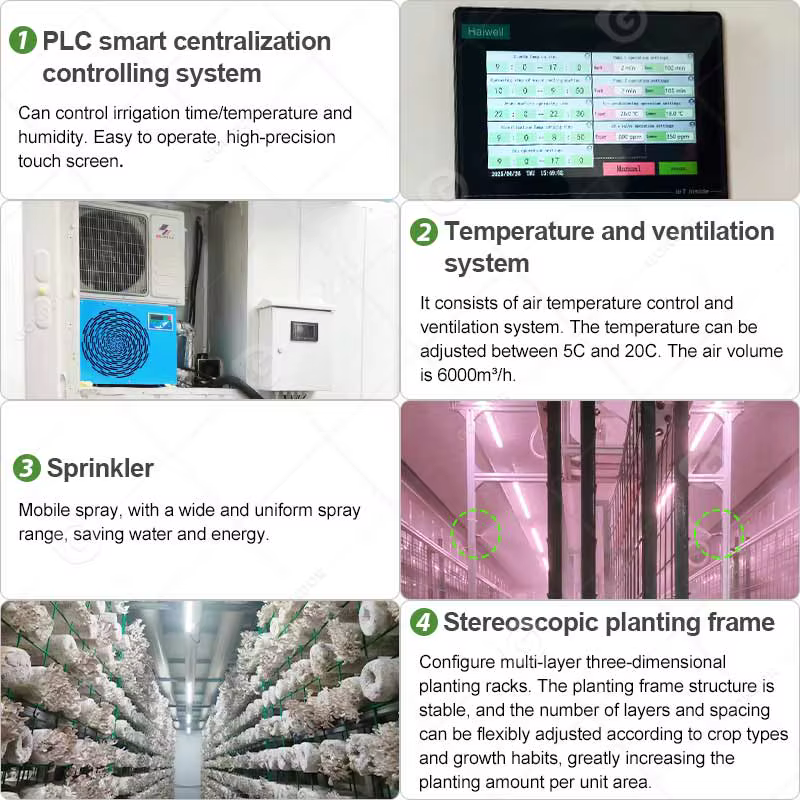Chambre de culture de champignons, conteneur de culture hydroponique, équipement de ferme intelligente, livraison sur mesure