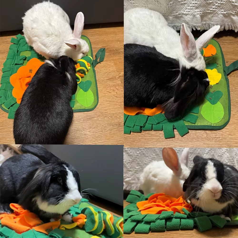 Tapis de nez reniflard pour lapins et petits animaux