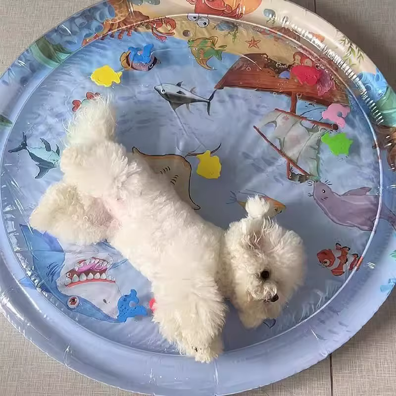 Tapis gonflable rempli d'eau pour animaux de compagnie