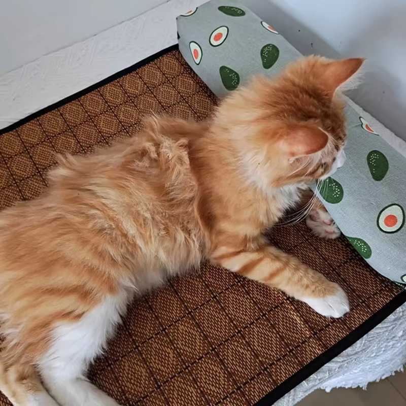 Tapis de refroidissement naturel pour chat