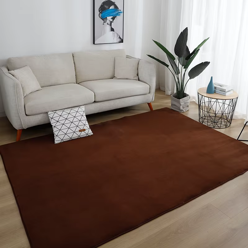 Grand tapis gris pour salon