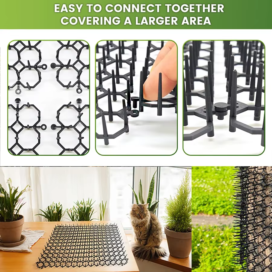 Tapis anti-parasites à picots pour chats et chiens