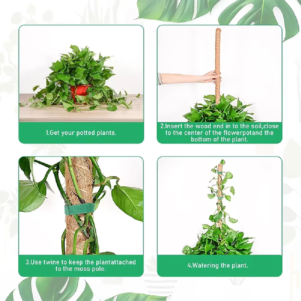 Échafaudage de plantes déformable, choses utiles pour accessoires de jardin, accessoires de plantes, Support de décoration extérieure, Support intérieur, Tutors pour la maison