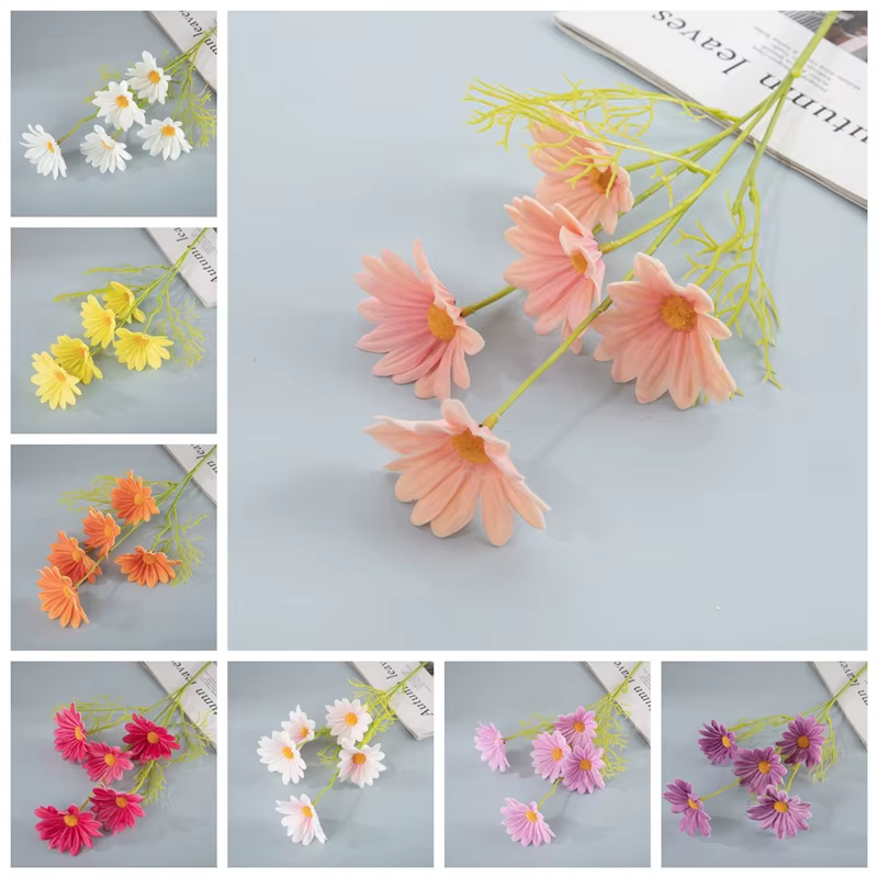 Fleurs de marguerite pour la fête de mariage