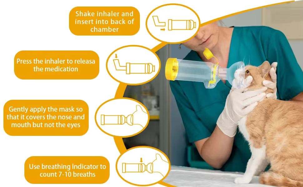 Chambre d'inhalation pour animaux de compagnie avec masque souple, dispositif d'aide respiratoire portable pour chats et chiens, inhalateur universel pour animaux
