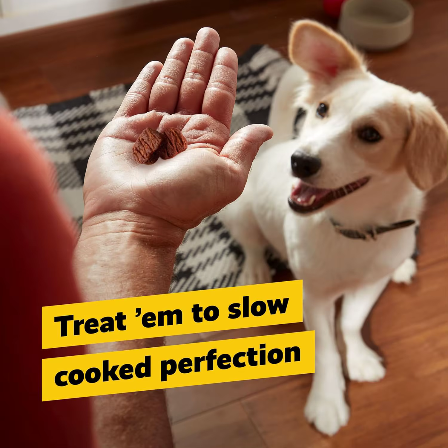 Friandises pour chiens au bœuf séché, protéines brutes de qualité supérieure pour chiens, friandises d'entraînement et compléments alimentaires de taille bouchée, adaptées aux chats