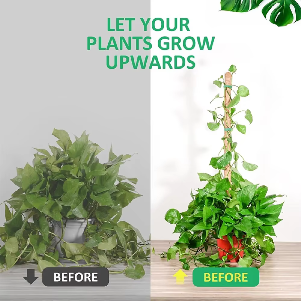 Échafaudage de plantes déformable, choses utiles pour accessoires de jardin, accessoires de plantes, Support de décoration extérieure, Support intérieur, Tutors pour la maison