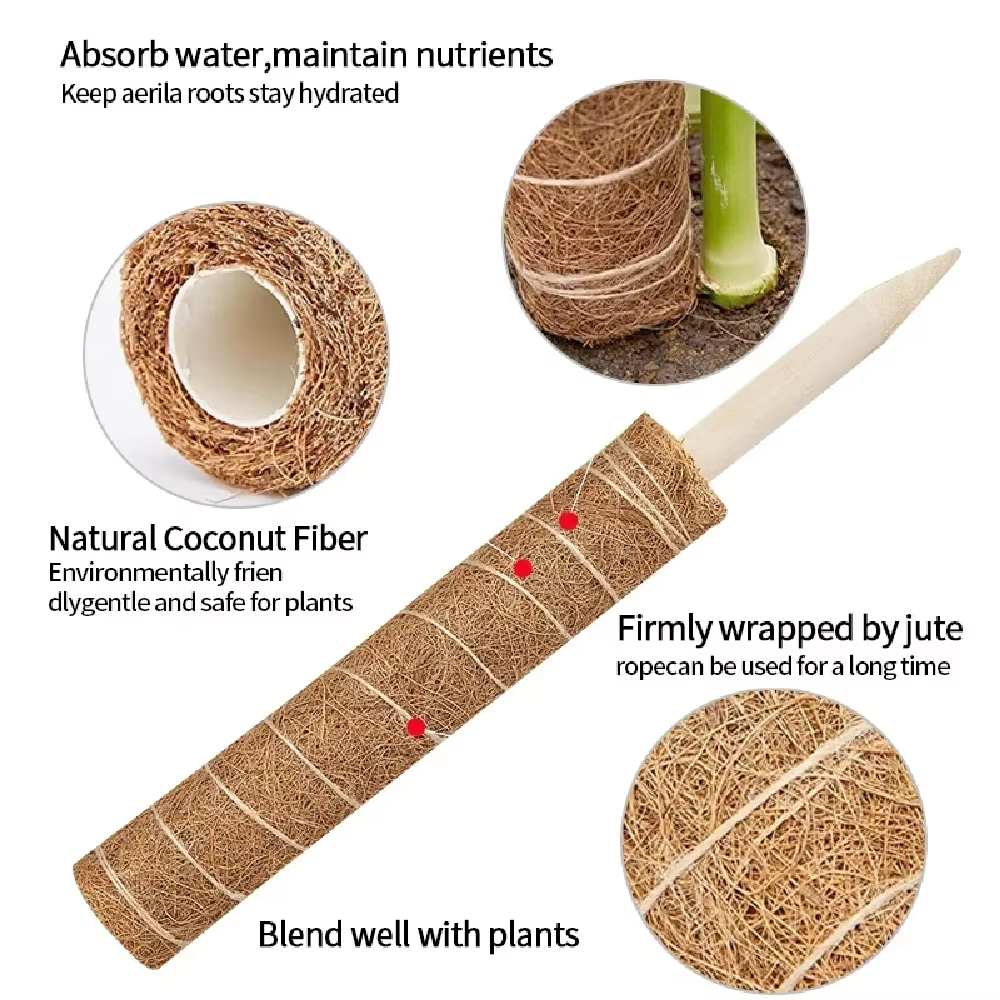 Échafaudage de plantes déformable, choses utiles pour accessoires de jardin, accessoires de plantes, Support de décoration extérieure, Support intérieur, Tutors pour la maison