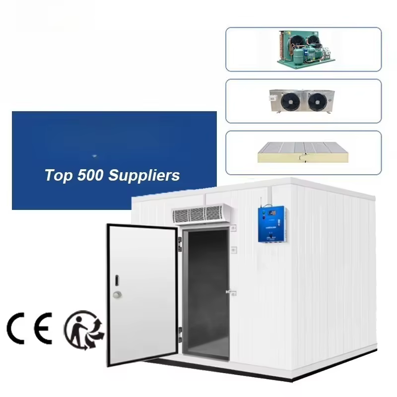 Chambre froide modulaire personnalisée avec télécommande pour le stockage d'aliments, de fruits de mer et de produits pharmaceutiques, avec surveillance IoT