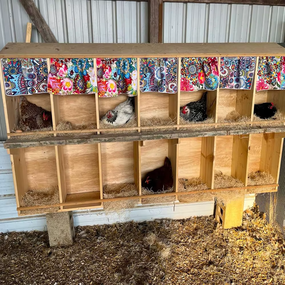 Tapis de poulet de boîte de nid de doublure de nidification