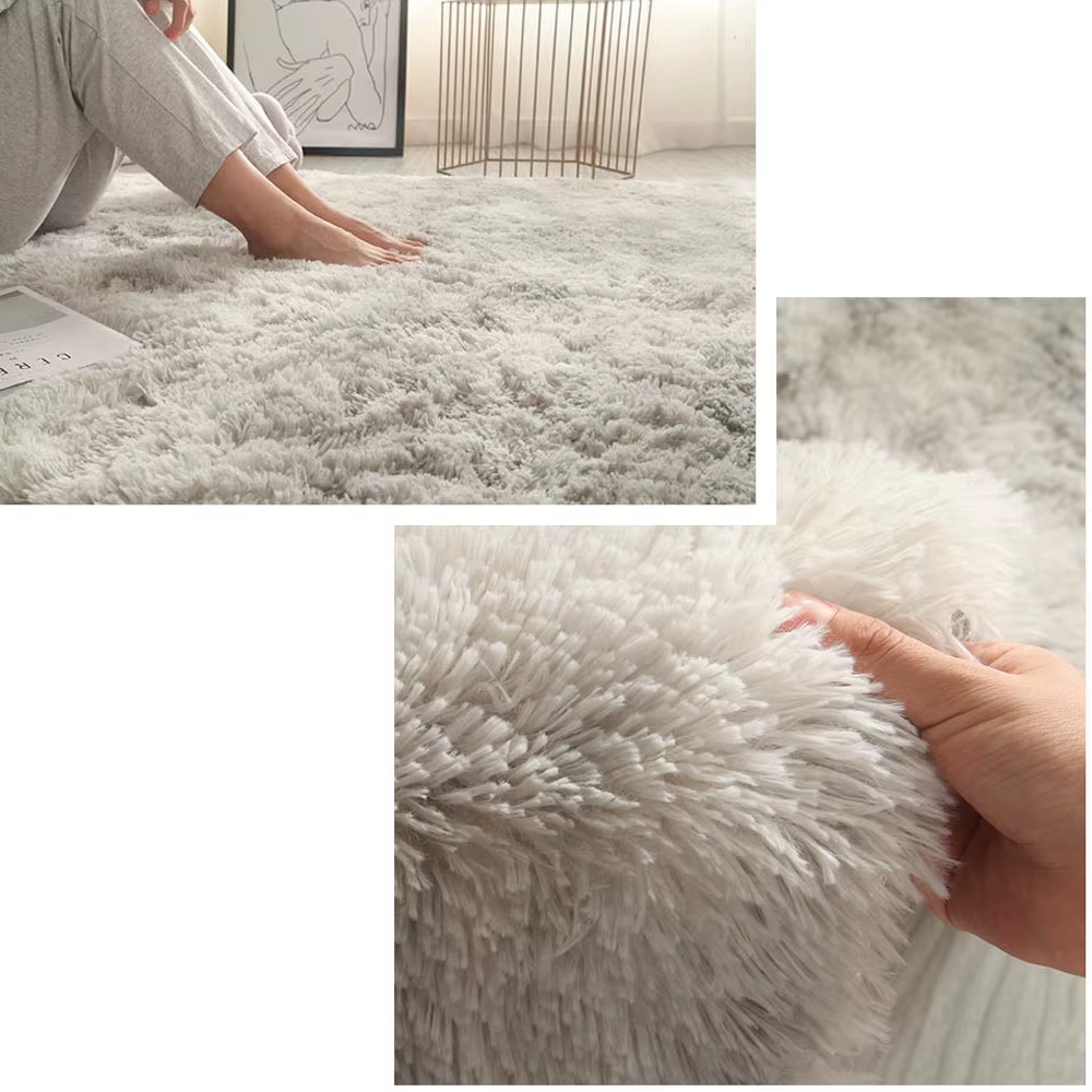 Tapis de chambre à cheveux longs, couverture intérieure en peluche, salon recouvert, moderne et minimaliste, taille 800mm x 1600mm
