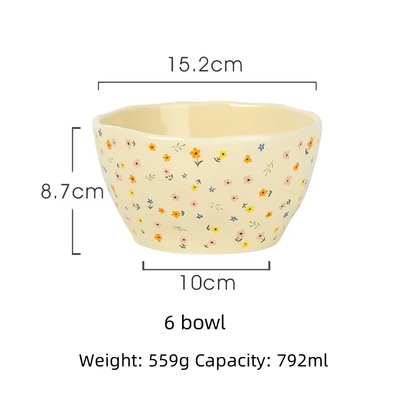 Filles en céramique coréen avancé en langue, niveau d'apparence élevé, diligence de fruits, pio à riz Filles et plat intermédiaires