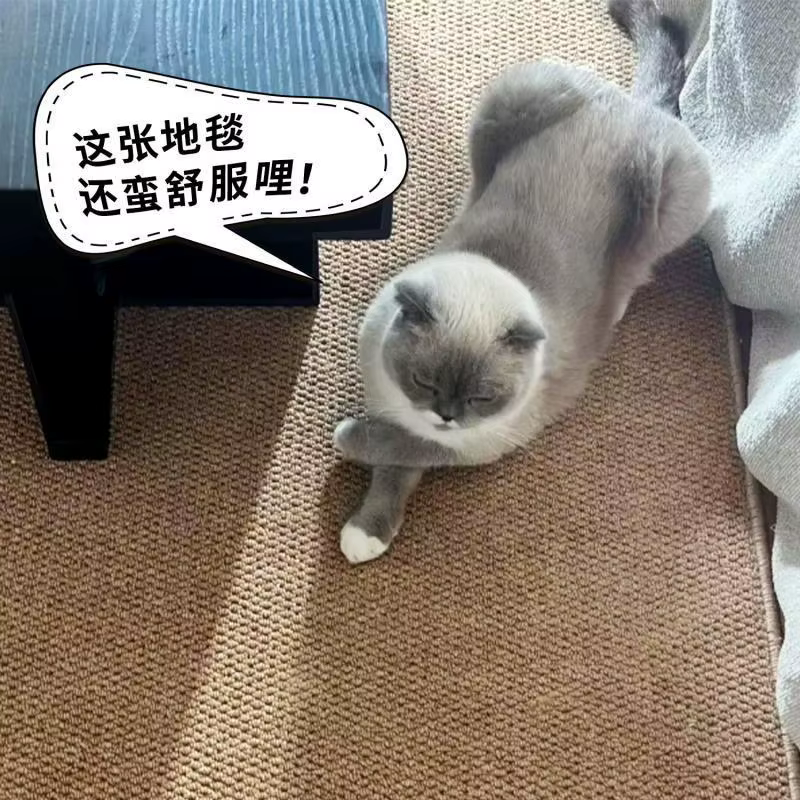 Tapis anti-rayures Imitation sisal pour chat, salon, studio, chambre à coucher, chevet, tatami japonais, couleur unie, lin, tapis de sol pour photo