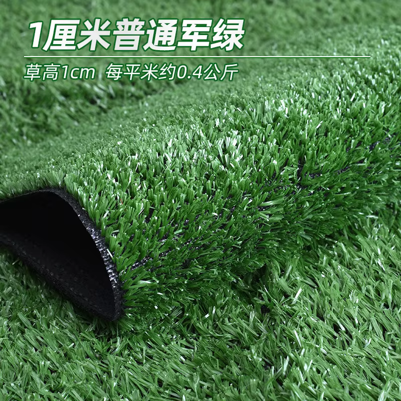 Tapis d'herbe artificielle intérieur extérieur