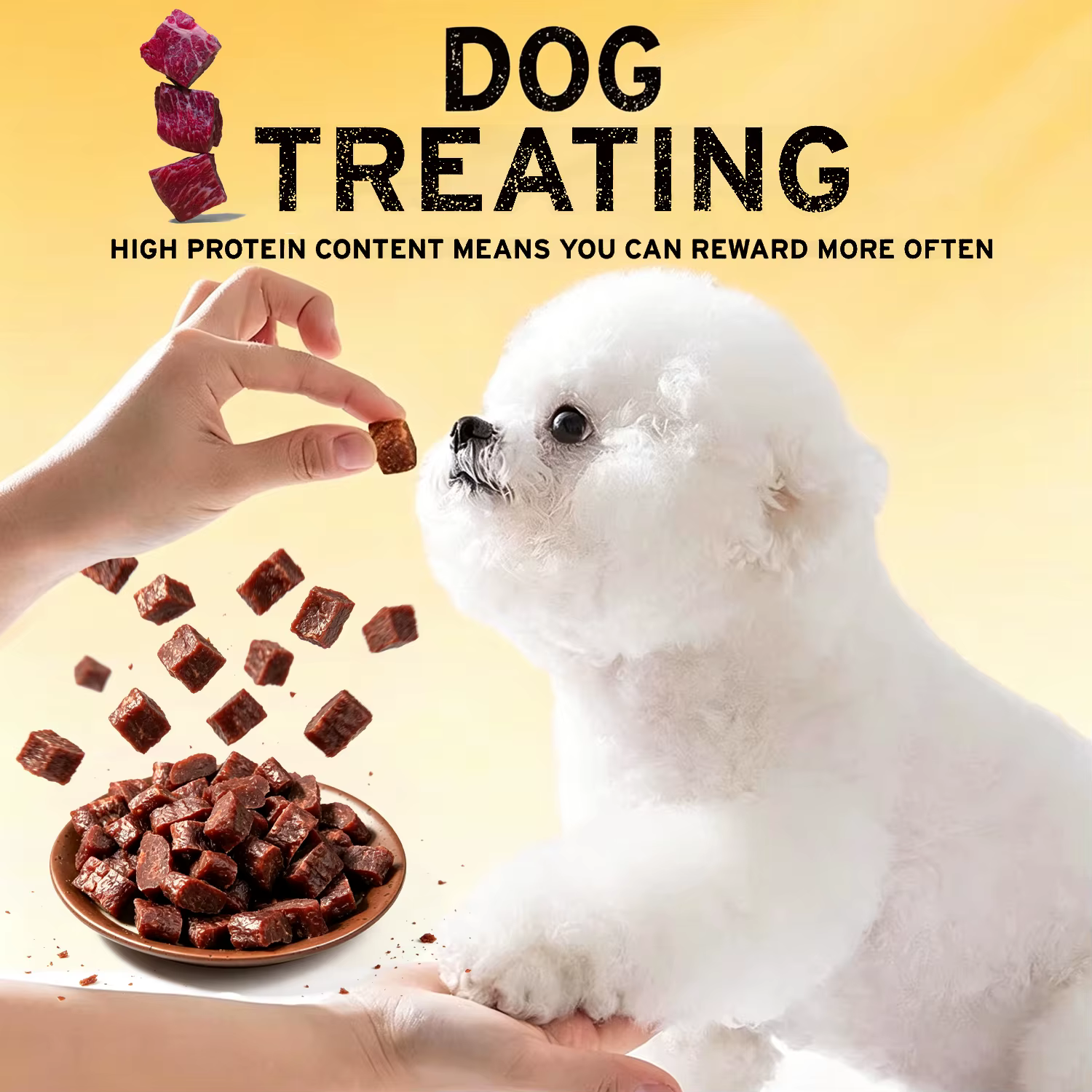 Friandises pour chiens au bœuf séché, protéines brutes de qualité supérieure pour chiens, friandises d'entraînement et compléments alimentaires de taille bouchée, adaptées aux chats