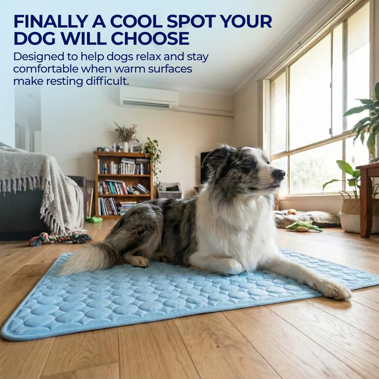 Tapis rafraîchissant pour chiens de petite et moyenne taille