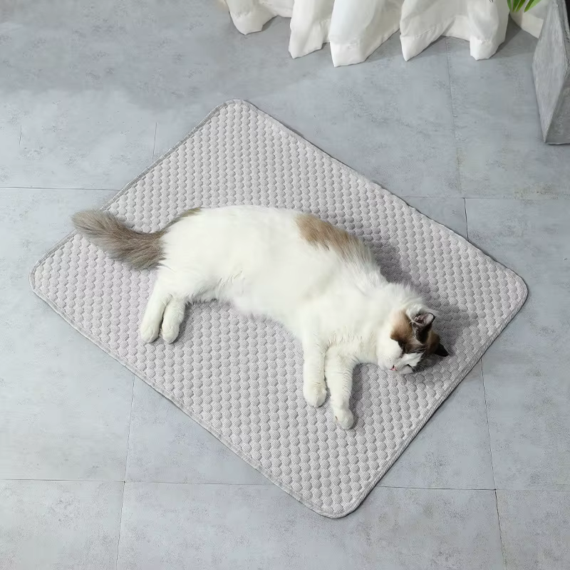 Tapis rafraîchissant pour chat