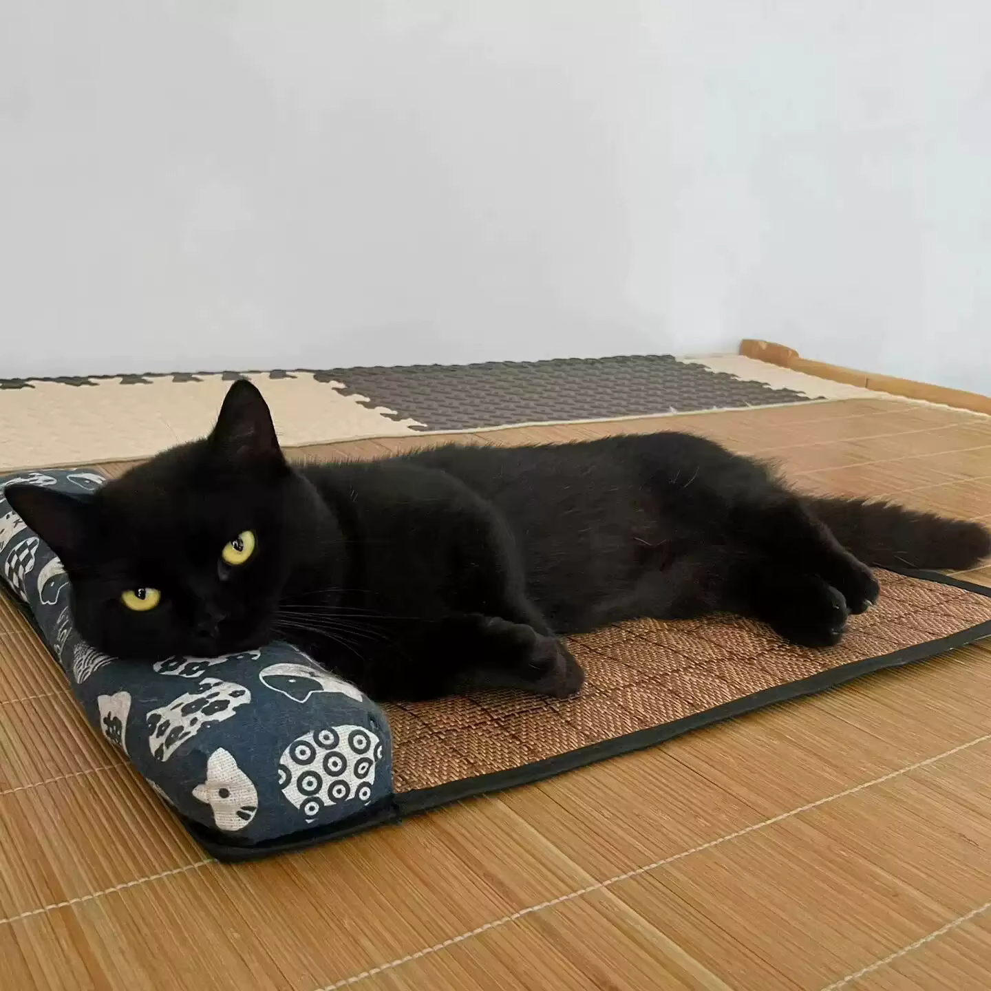Tapis de refroidissement naturel pour chat