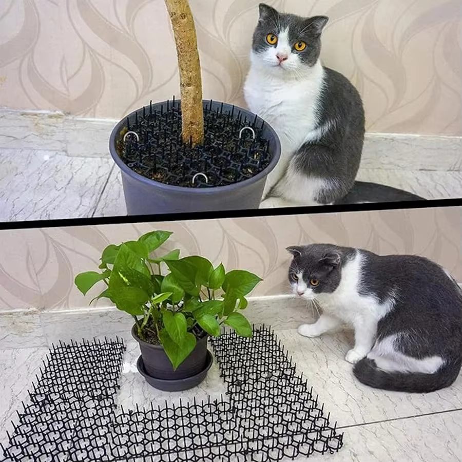 Tapis anti-parasites à picots pour chats et chiens
