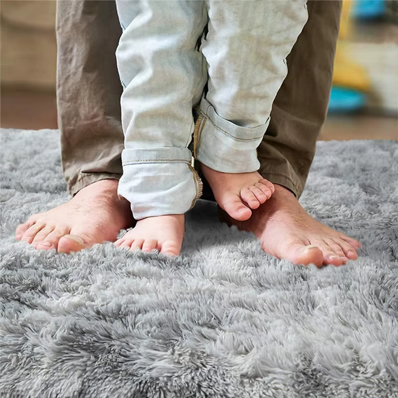 Tapis de grande surface pour salon