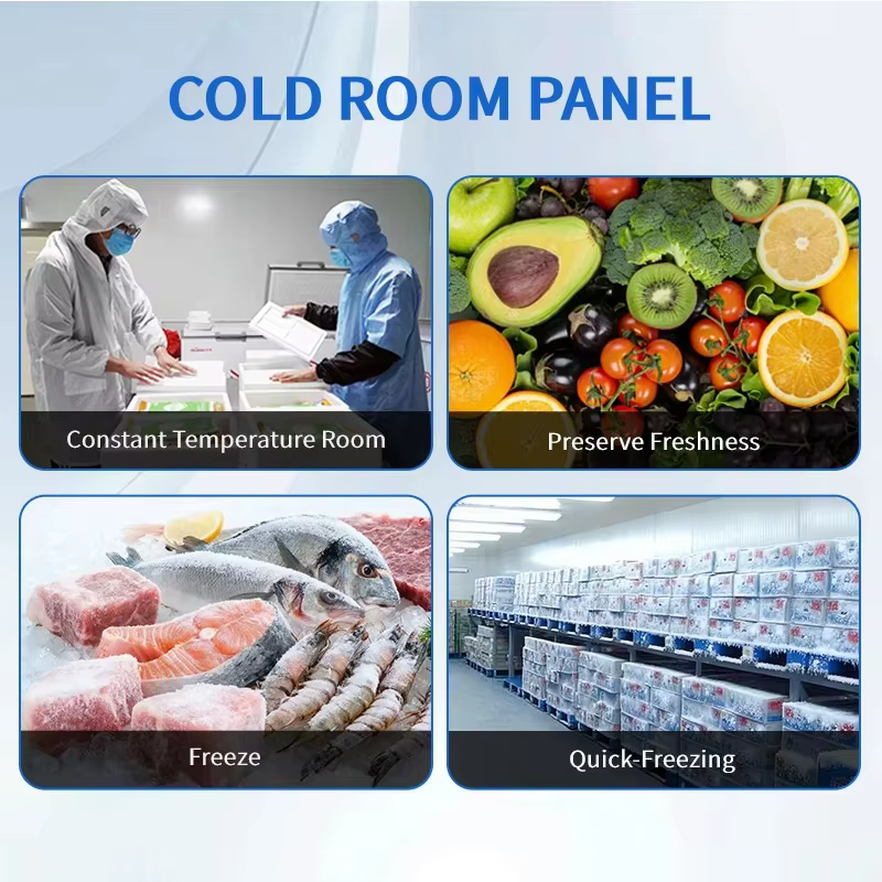 Chambre froide mobile avec cloisonnement interne personnalisable pour la classification et le stockage d'aliments à températures différentes