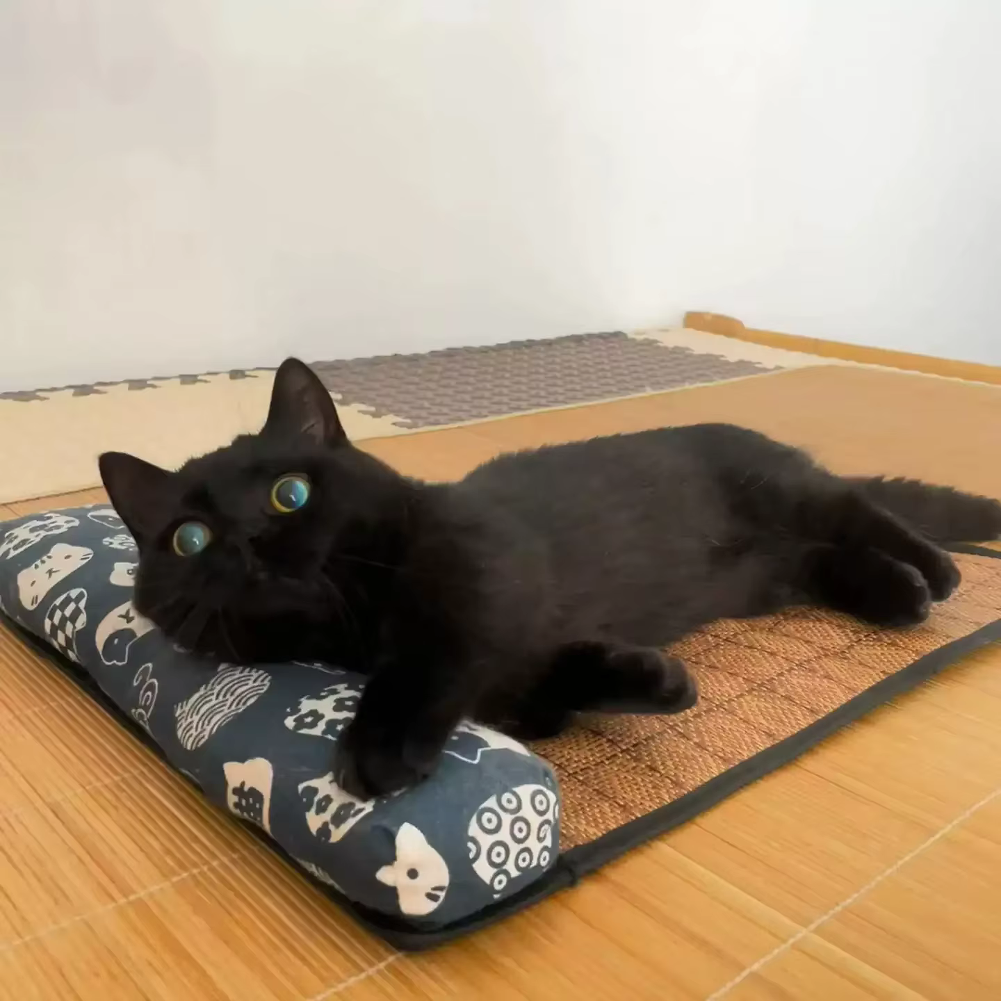 Tapis de refroidissement naturel pour chat