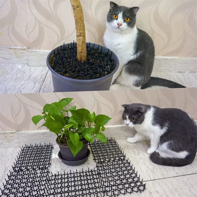 Tapis anti-chats à picots souples