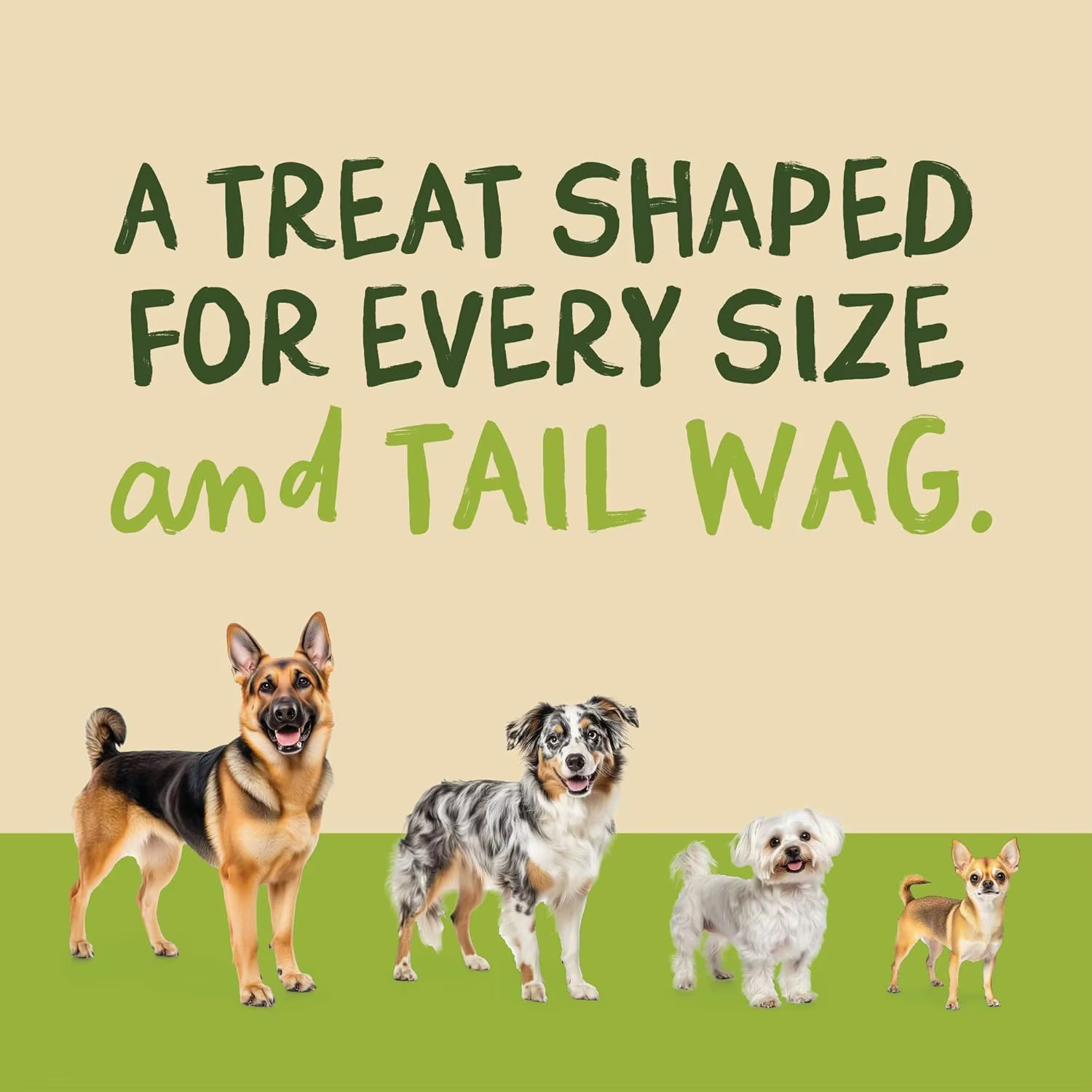 Friandises pour chiens au bœuf séché, protéines brutes de qualité supérieure pour chiens, friandises d'entraînement et compléments alimentaires de taille bouchée, adaptées aux chats