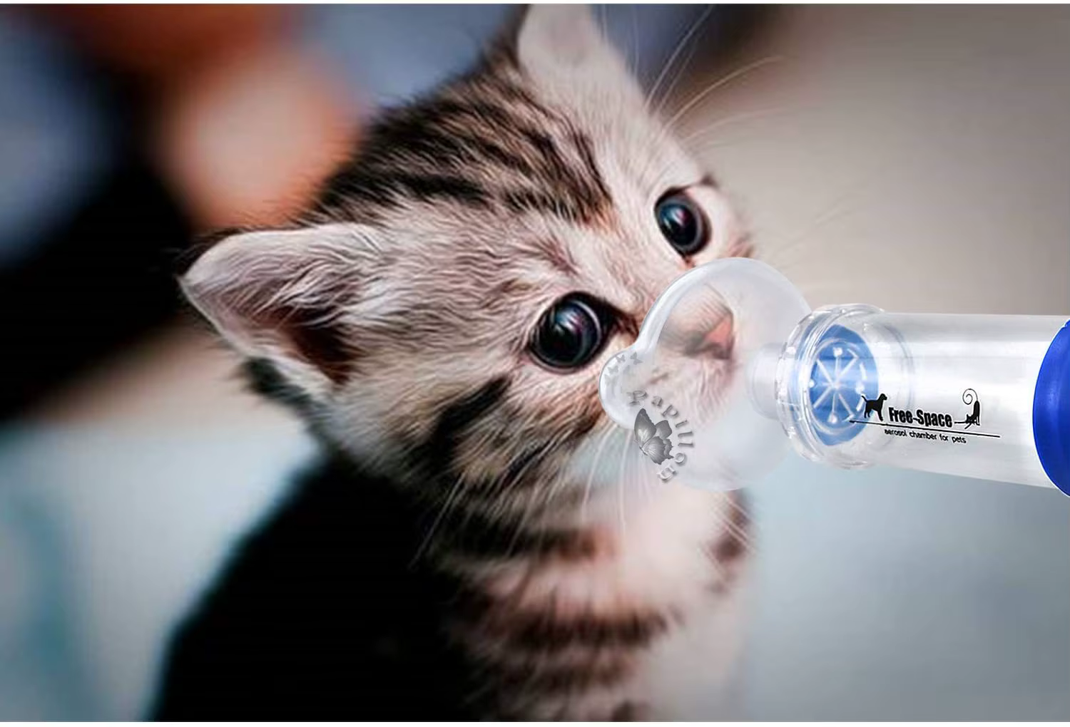 Inhalateur de chambre à aérosol pour chiens et chats, adultes et enfants, félin et canie, livré avec un masque de 3 tailles et des instructions