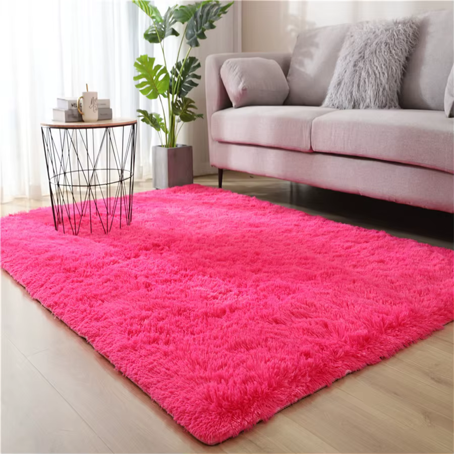 Nouveau tapis épais pour salon