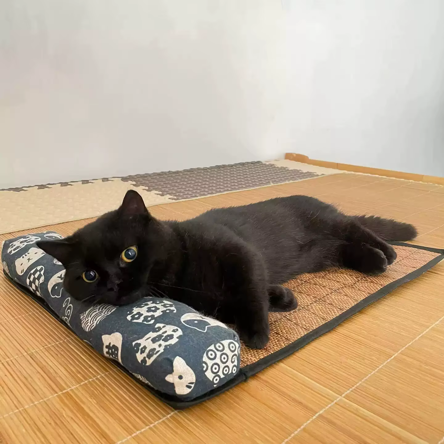 Tapis de refroidissement naturel pour chat