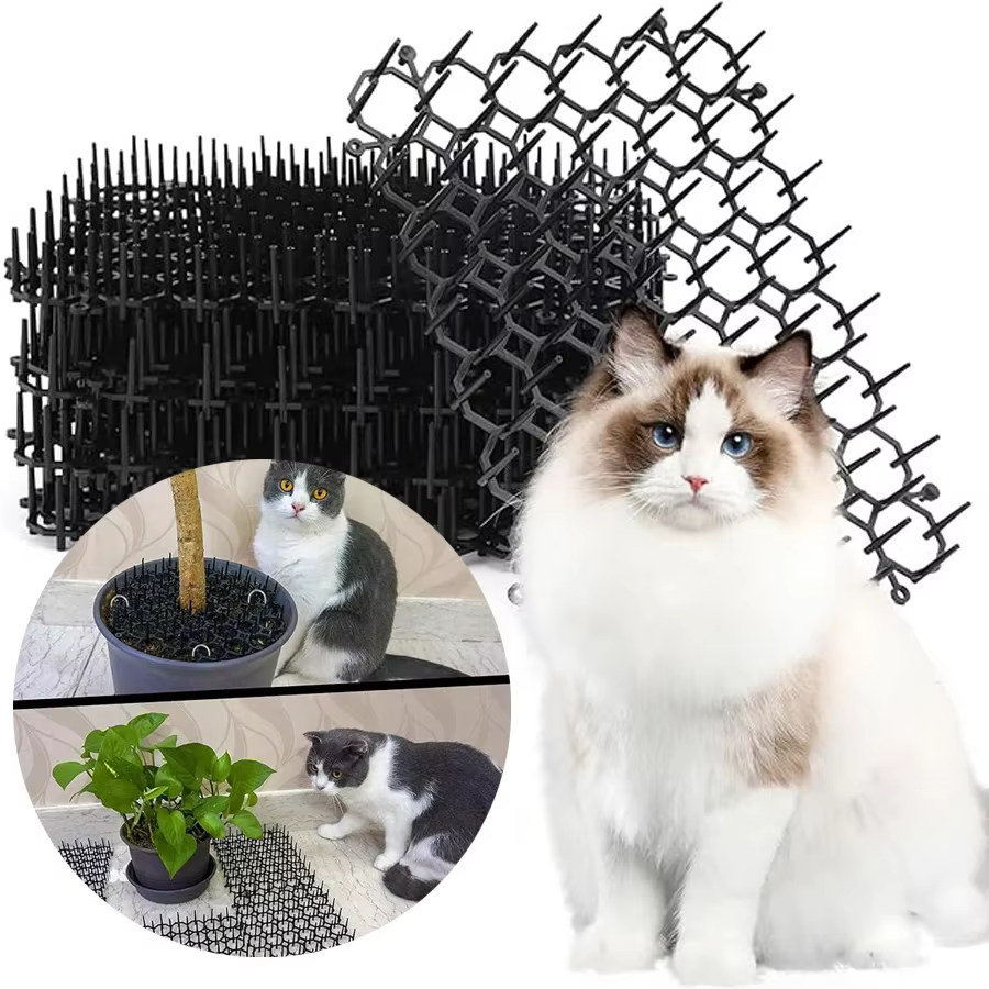 Tapis anti-parasites à picots pour chats et chiens