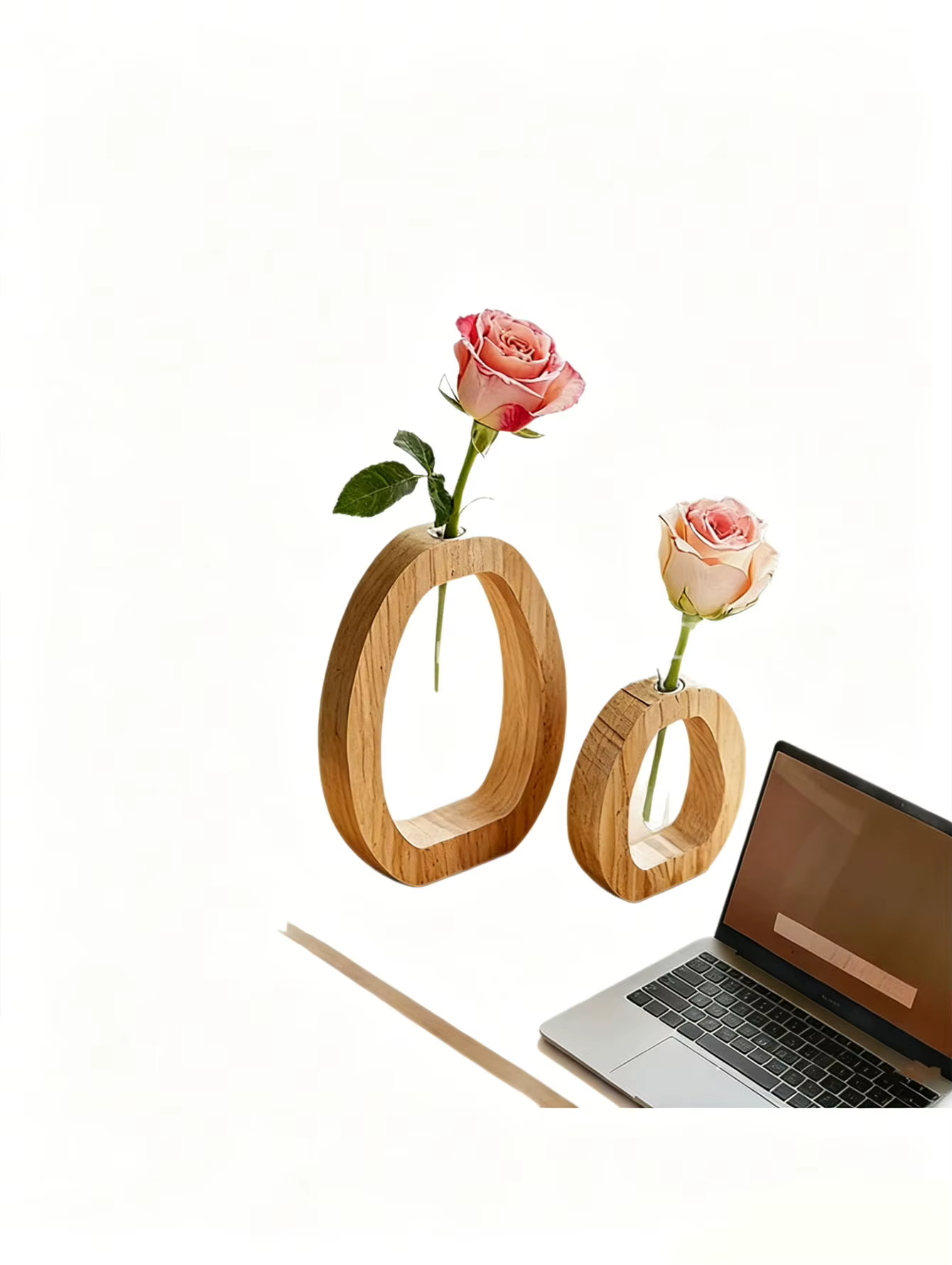 1 ensemble d'ornements décoratifs créatifs pour la culture de plantes vertes