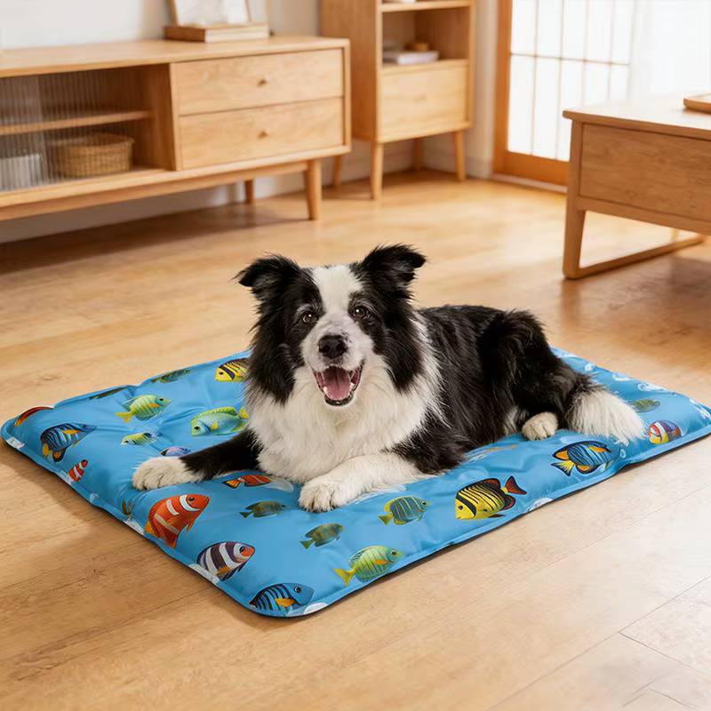 Tapis rafraîchissant pour animaux de compagnie