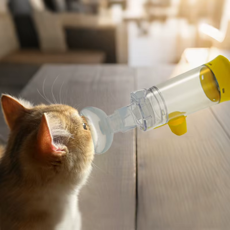 Chambre d'aérosol pour chat, inhalateur Portable pour chien, entretoise avec indicateur respiratoire, masque en Silicone pour équipement vétérinaire, clinique vétérinaire