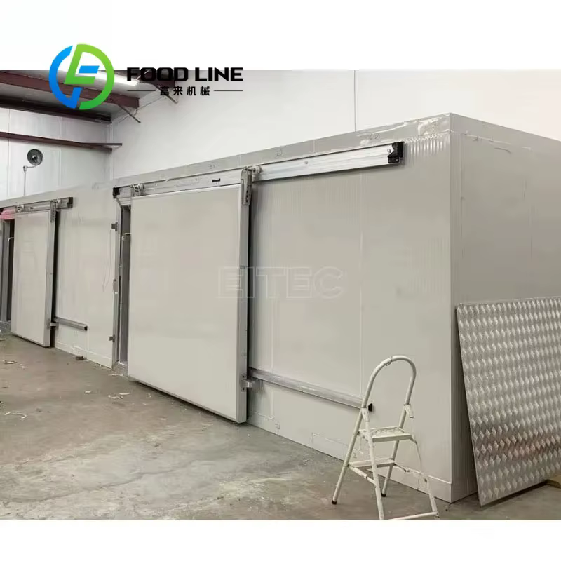 Salle de stockage au froid personnalisée/chambre à froid/passer dans le congélateur