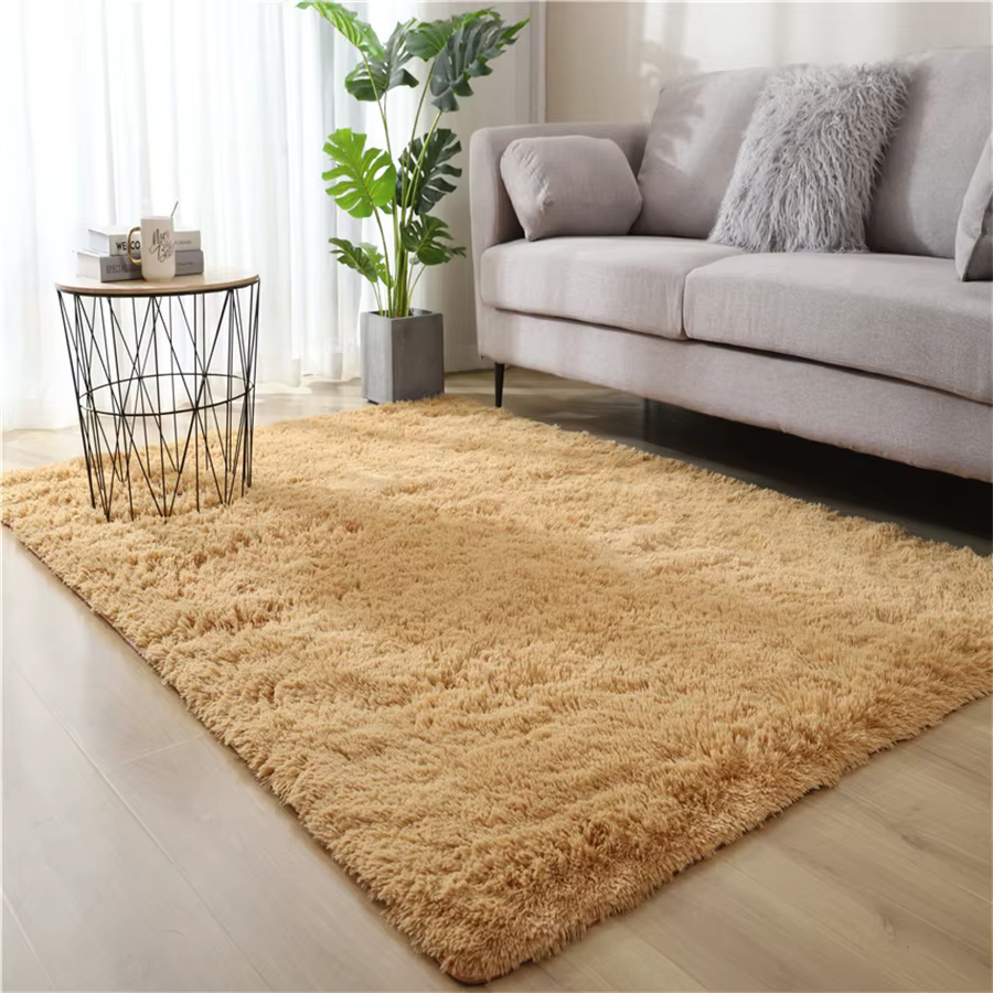 Nouveau tapis épais pour salon